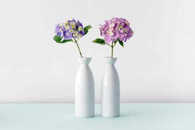Home Staging: valorizziamo al massimo la tua casa